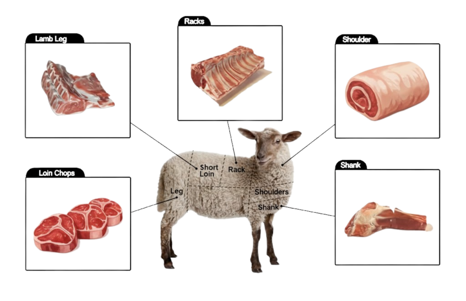LAMB - Fresh Organic Meat