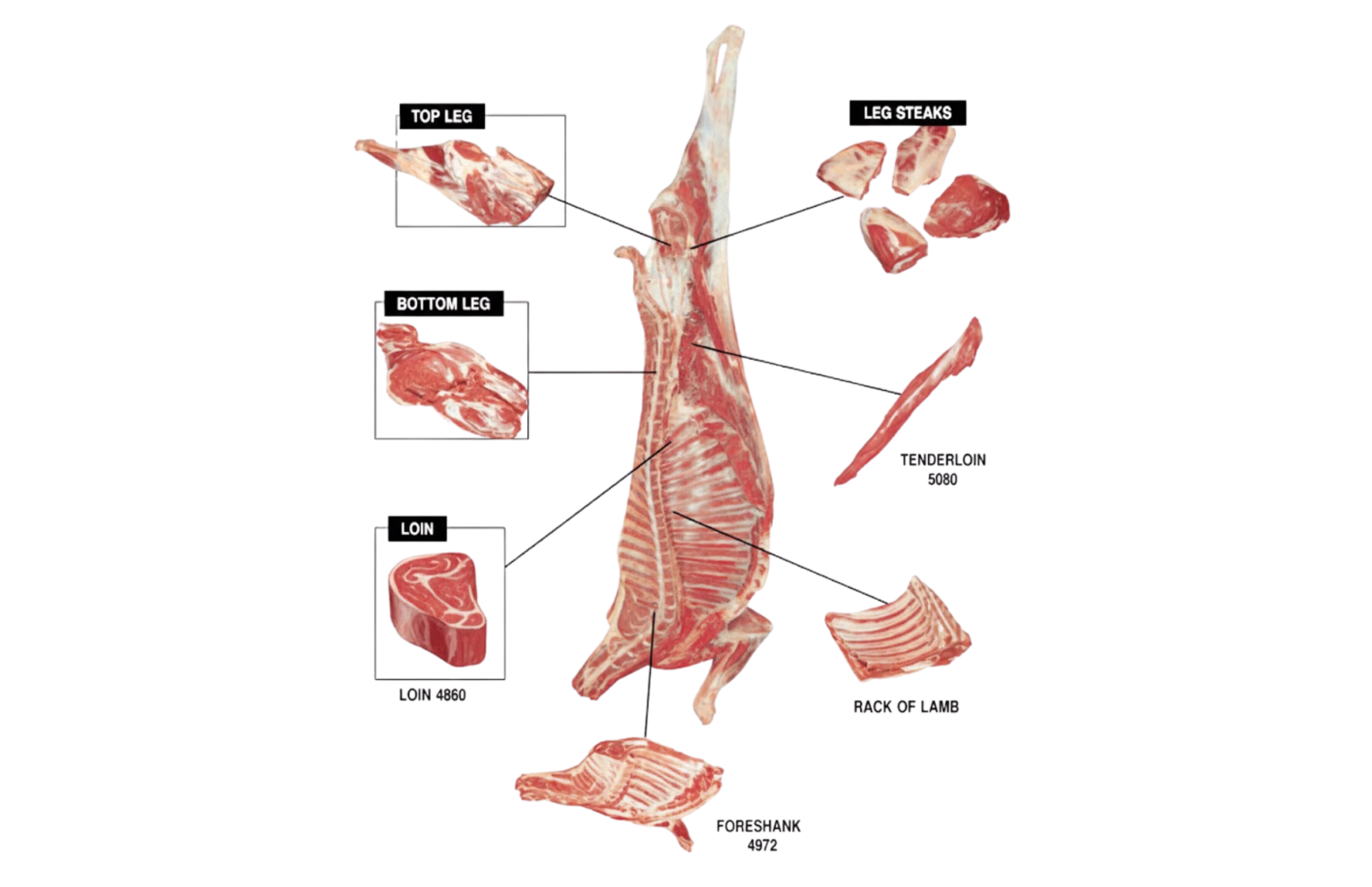 GOAT - Fresh Organic Meat